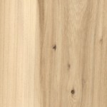 elm elm