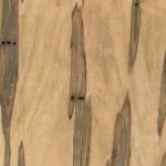 wormy maple wormy maple